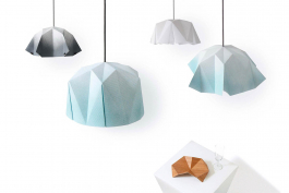 MATHIAS VAN DE WALLE