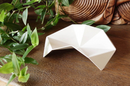 MATHIAS VAN DE WALLE