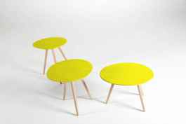 MATHIAS VAN DE WALLE