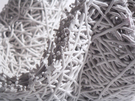 MATHIAS VAN DE WALLE