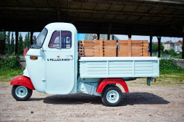 MATHIAS VAN DE WALLE