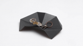 MATHIAS VAN DE WALLE