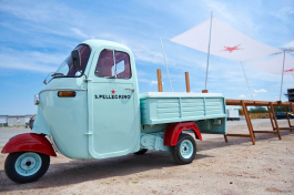 MATHIAS VAN DE WALLE