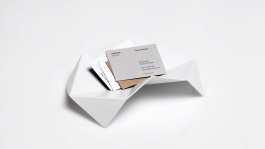 MATHIAS VAN DE WALLE