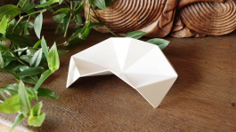 MATHIAS VAN DE WALLE