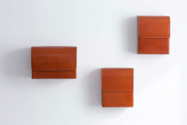 MATHIAS VAN DE WALLE