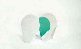 MATHIAS VAN DE WALLE