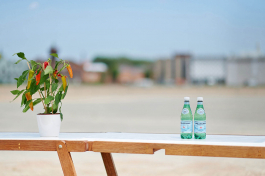 MATHIAS VAN DE WALLE