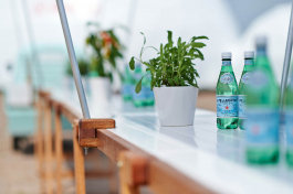 MATHIAS VAN DE WALLE